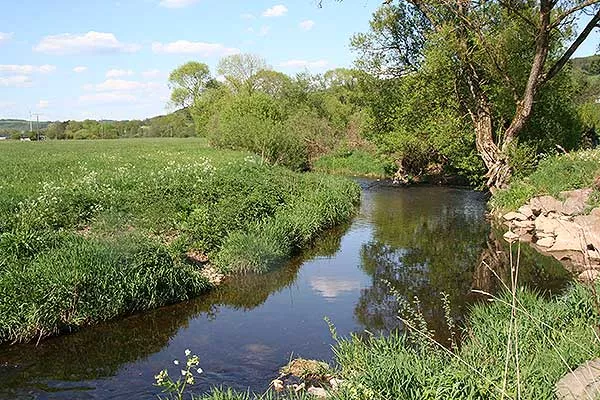 Die Prüm bei Pronsfeld